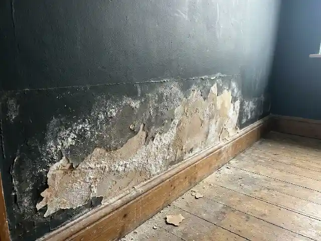 Afbladderende verf en witte zoutuitslag onderaan een binnenmuur