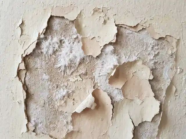 Witte zoutkristallen die de verf van een oude pleister drukken